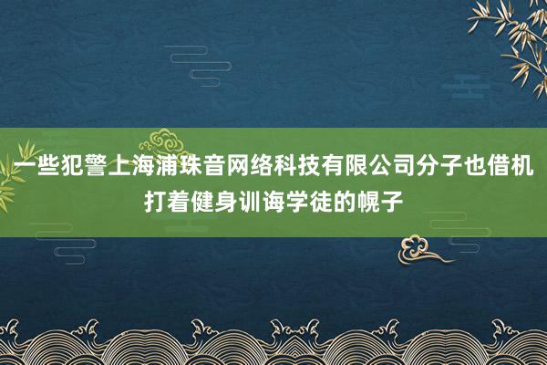 一些犯警上海浦珠音网络科技有限公司分子也借机打着健身训诲学徒的幌子