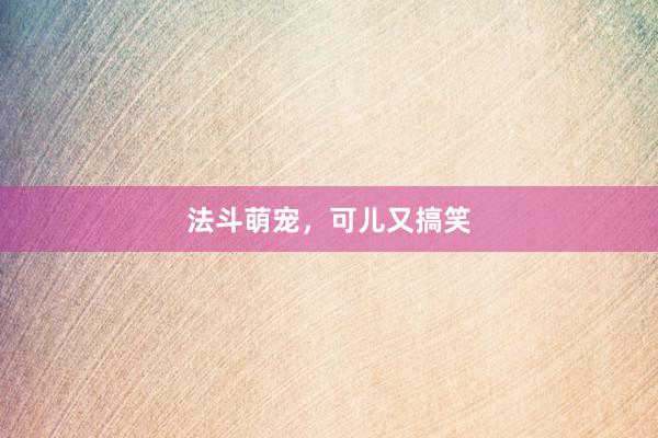 法斗萌宠,可儿又搞笑