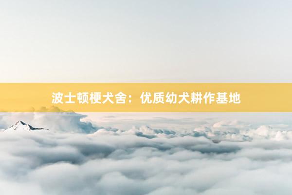 波士顿梗犬舍：优质幼犬耕作基地