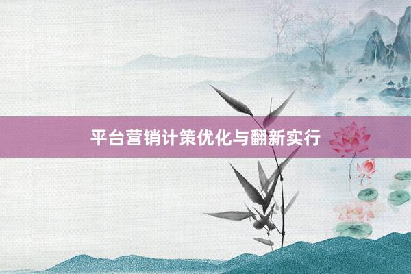 平台营销计策优化与翻新实行